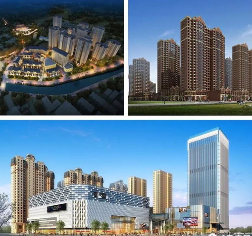 當地產遇見高考｜細數天水房地產界的文理尖子生