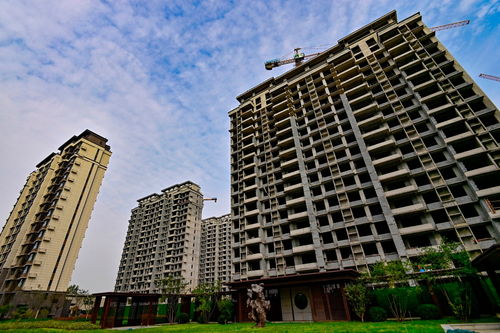 中央金融工作會議部署房地產(chǎn)新模式，行業(yè)利好信號釋放